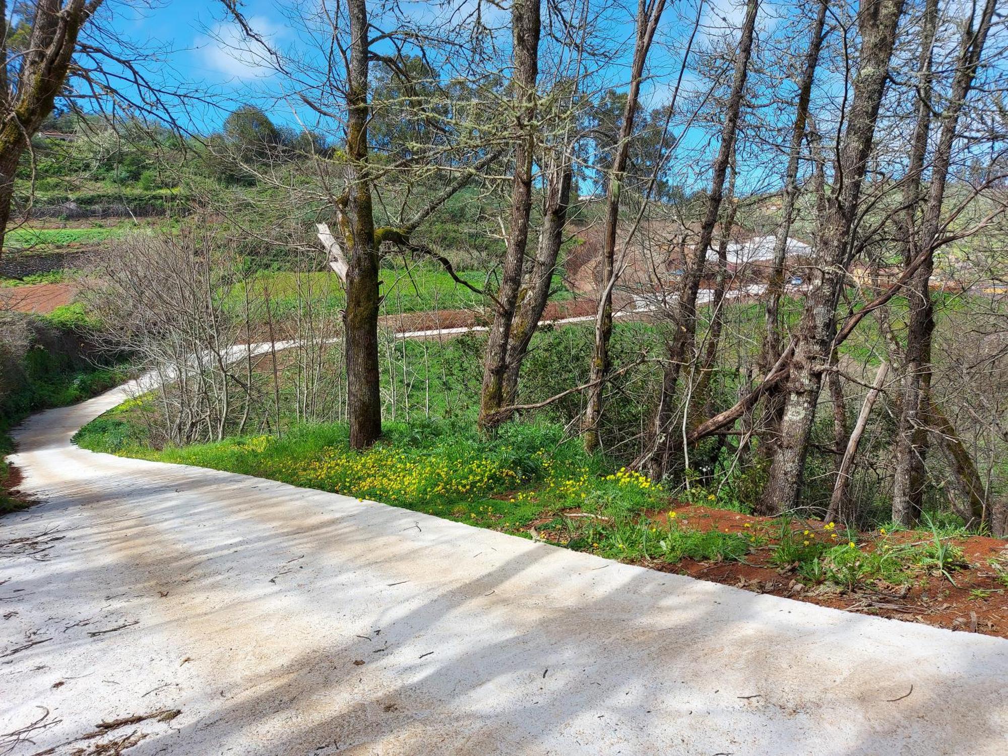 Finca Naturacanaria Moya  Exterior photo